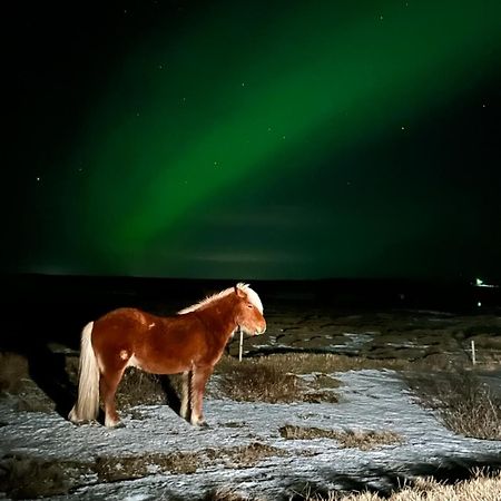 Guesthouse Didi Flagbjarnarholt Екстер'єр фото